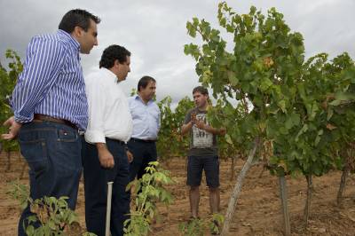 La Diputación se suma al proyecto Life + para la catalogación agrícola y recuperación de especies tradicionales de Els Ports