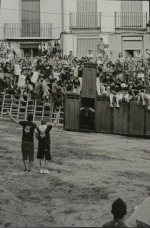 Fotografia /Galeria/2012/11/76109_40734/5_M1.jpg