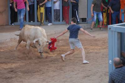 Vila-real pone el punto y final a las exhibiciones taurinas