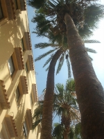 Fotografia /Galeria/2012/6/67192_35612/1_M1.jpg