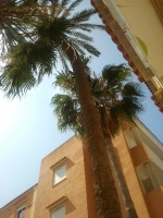 Fotografia /Galeria/2012/6/67192_35612/2_M1.jpg