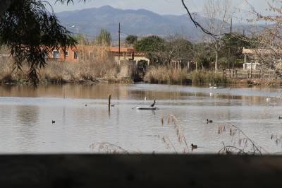 El Clot de la Mare de Déu de Burriana o L'Estany de Nules recibirán la intervención de la Fundación Limne y Telefónica