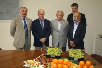 Buch: 'La Comunitat Valenciana tiene un superávit comercial de 661 millones de euros'