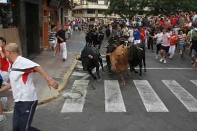 Empiezan las exhibiciones taurinas de Les Penyes en Festes 2012