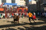 Los toros vuelven a protagonizar la jornada festiva