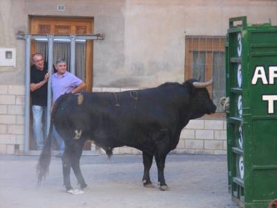 Arrancan los festejos taurinos en Figueroles
