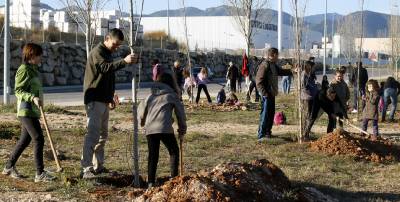 Ecología y naturaleza se dan la mano en Onda con motivo del Día del Árbol