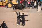 Un herido por el toro de Cuadri en las Fiestas de Sant Vicent Ferrer