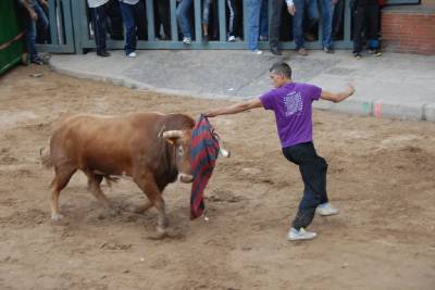 Arrancan las exhibiciones taurinas de las fiestas de Sant Pasqual 2013
