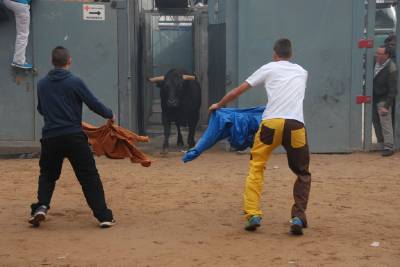 Herido leve un vecino de Artana en el Bou per la Vila del martes