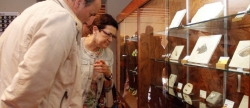 onda-abre-al-publico-un-nuevo-espacio-expositivo-sobre-paleontologia