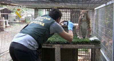 La Guardia Civil interviene 123 animales exóticos en Peñíscola