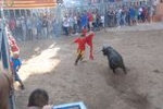 Vila-real vive el segundo encierro de toros cerriles con la manada estirada y sin incidentes
