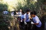 Cerca de medio centenar de voluntarios limpian las golas del Millars