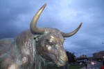Embolan la escultura homenaje al toro bravo de La Vall d'Uixó