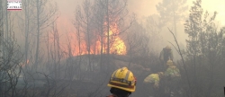 arden-10-hectareas-en-montan-en-un-incendio-provocado-por-un-rayo-latente