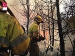 Arden 10 hectáreas en Montan en un incendio provocado por un rayo latente