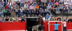 la-elevada-participacion-marca-el-comienzo-de-la-pascua-sonora-y-los-actos-de-la-pascua-taurina-en-onda