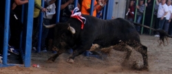 la-llosa-arranca-las-fiestas-de-sant-vicent-con-un-herido-por-asta-de-toro
