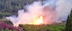 un-incendio-en-el-rio-quema-canar-en-artesa