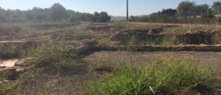 camano-la-falta-de-mantenimiento-de-las-termas-romanas-son-el-reflejo-de-la-politica-de-patrimonio-del-pp