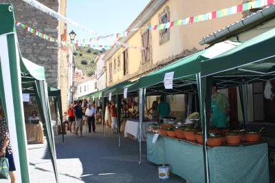 Promueven el consumo del aceite del Alto Palancia con la Feria del Aceite del Oro de la Sierra de Espadán en Higueras