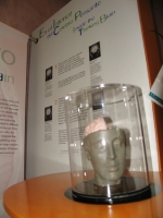 Fotografia /Galeria/2014/8/109965_59024/3_M1.jpg