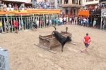 Benavent gana el XXVII Concurso de ganaderías de Borriol