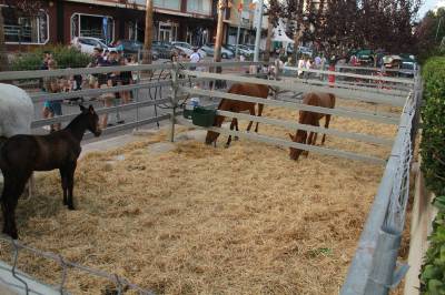Nules cierra su feria agrícola más floja de los últimos años