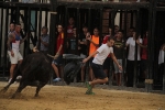 Vacas y baile para los mayores centran la actualidad en Nules