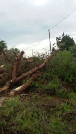 Fotografia /Galeria/2015/11/135029_73872/6_M1.jpg