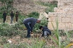 El Consorci del Millars contribueix a la recuperació de la flora del riu amb la plantació d'espècies autòctones