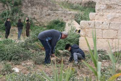 El Consorci del Millars contribueix a la recuperació de la flora del riu amb la plantació d'espècies autòctones