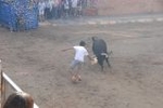 Las exhibiciones taurinas se saldan con dos heridos por asta de toro