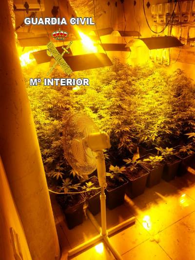 La Guardia Civil detiene a tres personas por cultivo de marihuana en Figueroles