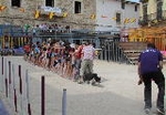 La Plaza Mayor de Sant Jordi acoge un espectáculo canino