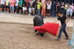 2 minutos y medio dura el encierro de toros cerriles de Les Penyes en Festes 2015