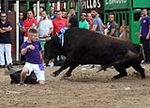 Tornen les exhibicions taurines de Sant Antoni a Moncofa