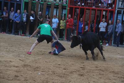 Recta final de les exhibicions taurines de la Soledat