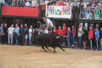 Nules posa el punt i final a les exhibicions taurines