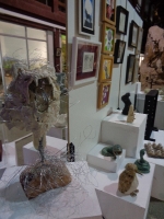 Fotografia /Galeria/2016/11/150895_85591/3_M1.jpg