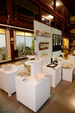 Fotografia /Galeria/2016/11/151164_85792/5_M1.jpg