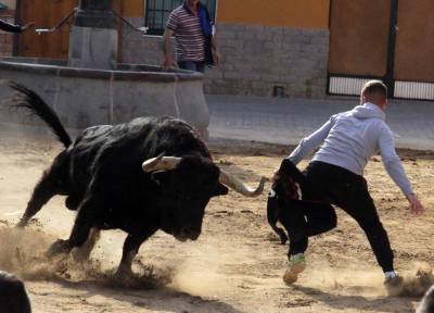 Las fiestas patronales de Sant Vicent de La Vall cierran el capítulo taurino