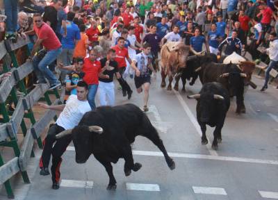 Vila-real inicia las fiestas de Sant Pasqual con un encierro rápido y limpio