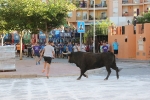 Llleno en las fiestas del Barrio San Jaime de Alcora con los toros protagonistas