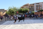 Llleno en las fiestas del Barrio San Jaime de Alcora con los toros protagonistas