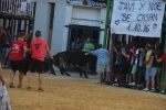 Los toros del Ayuntamiento anuncian la llegada del día del patrón
