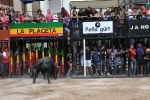 Primer dia de toros cerriles en el recinto de 170 cadafales y Homenaje del Club Taurino a la Reina y Damas y Mujer Taurina
