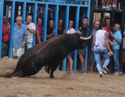 Xilxes retoma las exhibiciones taurinas