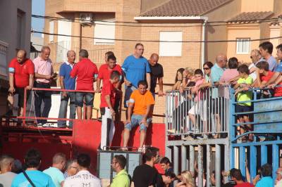 Xilxes lidia el penúltimo toro cerril de las fiestas